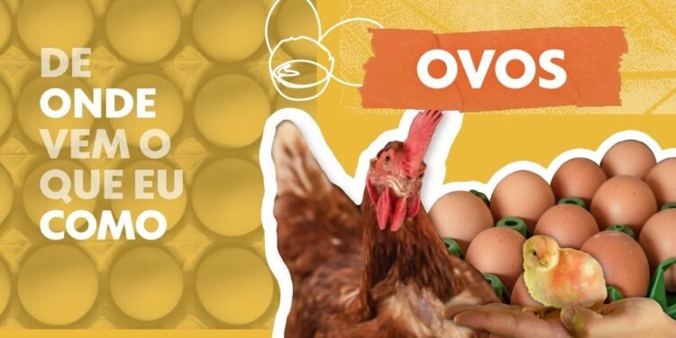 Por que o preço dos ovos nos EUA disparou e até os supermercados estão racionando suas compras | Agronegócios