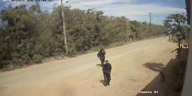 Bandidos de preto se camuflam na mata para assaltar cerâmica em Campos; VÍDEO | Norte Fluminense
