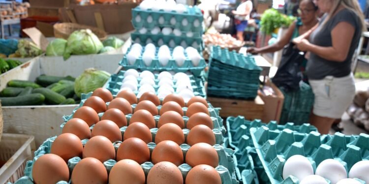 Preço do ovo dispara no ES, quase dobra em apenas um mês e chega a custar R$ 25 o pente com 30 unidades