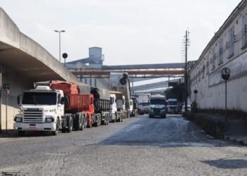 Porto de Santos terá dois condomínios logísticos com 877 vagas