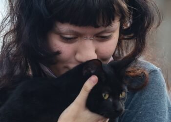 Prefeitura de São Paulo Detalha Acesso à Castração Gratuita de Cães e Gatos