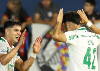 Palmeiras Vence Bragantino e Consolida Liderança no Brasileirão; Flamengo e Fluminense Também Triunfam