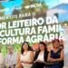 Governo Federal Anuncia R$ 450 Milhões para Pronaf Mais Leite e Impulsiona Pecuária Familiar
