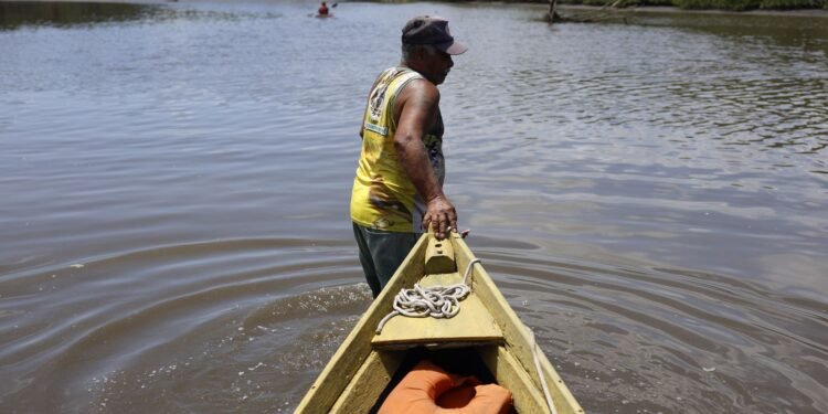 Câmara derruba alterações do Senado e mantém versão original da MP do Seguro-Defeso