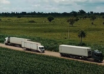 Economia Brasileira: Serviços Crescem 0,1% em Fevereiro e Atingem Recorde Histórico