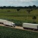 Economia Brasileira: Serviços Crescem 0,1% em Fevereiro e Atingem Recorde Histórico