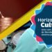 CNJ Lança ‘Horizontes Culturais’ para Fomentar Arte e Reintegração em Presídios Brasileiros