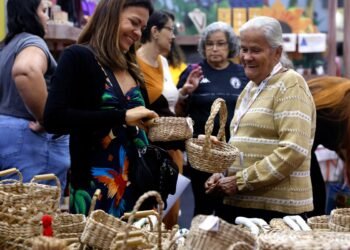 Economia Prateada: Brasil Alça 4,5 Milhões de Empreendedores Sêniores