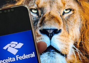 Receita Federal Libera Lote da Malha Fina do Imposto de Renda para 415 Mil Contribuintes