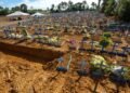 Negacionismo durante a Pandemia Reduz Expectativa de Vida no Brasil em 3,4 Anos