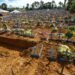 Negacionismo durante a Pandemia Reduz Expectativa de Vida no Brasil em 3,4 Anos