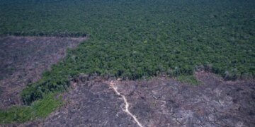 Cúpulas Climáticas Impulsionam Acelerador Global para Combate a Combustíveis Fósseis e Desmatamento