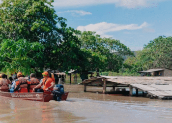 Roraima: Apoio Federal Reforça Resposta a Desastres Climáticos