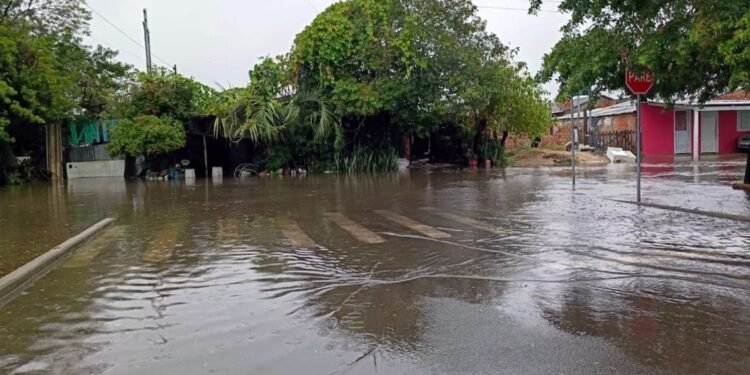 Temporal Intenso no Rio Grande do Sul Causa Desalojamentos e Danos em 19 Cidades