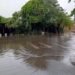Temporal Intenso no Rio Grande do Sul Causa Desalojamentos e Danos em 19 Cidades Temporal Intenso no Rio Grande do Sul Causa Desalojamentos e Danos em 19 Cidades