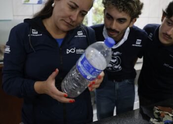 Mais de 93% dos Peixes no Litoral do Paraná Contaminados por Microplásticos: Um Alerta para a Saúde e Meio Ambiente