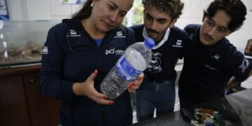Mais de 93% dos Peixes no Litoral do Paraná Contaminados por Microplásticos: Um Alerta para a Saúde e Meio Ambiente Mais de 93% dos Peixes no Litoral do Paraná Contaminados por Microplásticos: Um Alerta para a Saúde e Meio Ambiente