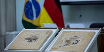 Brasil Intensifica Esforços para Repatriar Fósseis e Patrimônios Culturais de Mais de 14 Países