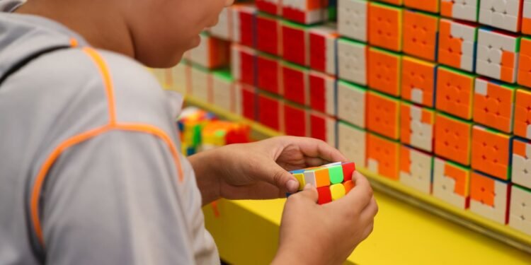 Censo da Educação Básica 2026: Coleta de Dados Cruciais para o Ensino Nacional Começa