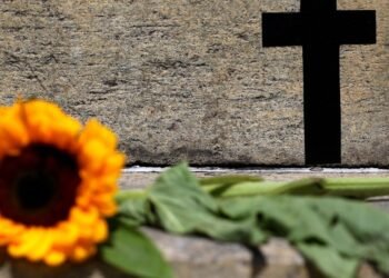 Violência Contra a Mulher em SP: Feminicídio Aumenta 41% e Violações de Medidas Protetivas Sobem 31,9% Violência Contra a Mulher em SP: Feminicídio Aumenta 41% e Violações de Medidas Protetivas Sobem 31,9%