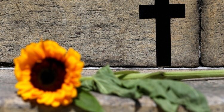 Violência Contra a Mulher em SP: Feminicídio Aumenta 41% e Violações de Medidas Protetivas Sobem 31,9%