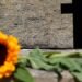 Violência Contra a Mulher em SP: Feminicídio Aumenta 41% e Violações de Medidas Protetivas Sobem 31,9%