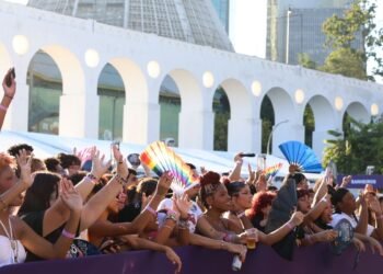 Parada LGBTQIA+ no Rio de Janeiro: Chamado por Representação Legislativa e Direitos Dignos