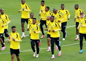 Brasil e África do Sul: Convergências Além das Cores em Cenários Globais