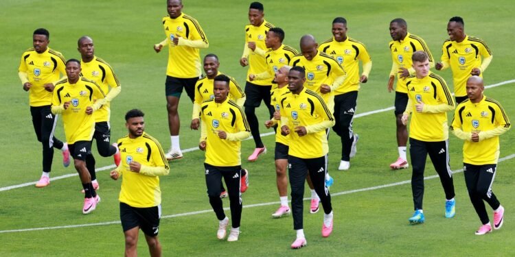 Brasil e África do Sul: Convergências Além das Cores em Cenários Globais Brasil e África do Sul: Convergências Além das Cores em Cenários Globais