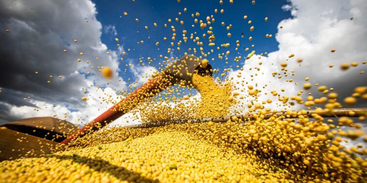 Economia Agrícola: Conab Projeta Safra Recorde de Grãos para 2025/26 com 358,6 Milhões de Toneladas