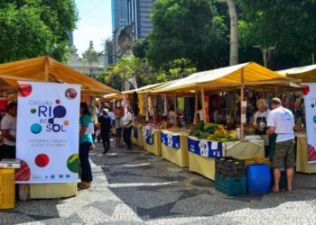Cooperativismo: Reconhecimento Cultural e Acesso a Fundos Regionais Impulsionam Desenvolvimento