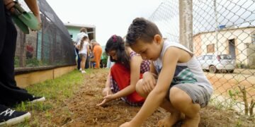 Escola Rural de Itararé Transforma o Ensino com Projeto Premiado que Reconecta Alunos à Natureza e Saberes Ancestrais