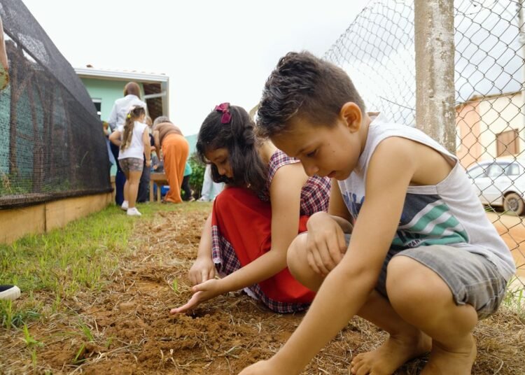 Escola Rural de Itararé Transforma o Ensino com Projeto Premiado que Reconecta Alunos à Natureza e Saberes Ancestrais