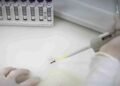 Exames Descartam Ebola em Imigrante Congolês Internado em São Paulo