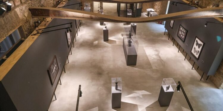 Museu Nacional celebra 208 anos com exposições inéditas e avanço na reconstrução