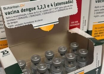 Vacina da Dengue do Butantan: Suspensão Temporária, Sintomas e Orientações Essenciais Vacina da Dengue do Butantan: Suspensão Temporária, Sintomas e Orientações Essenciais