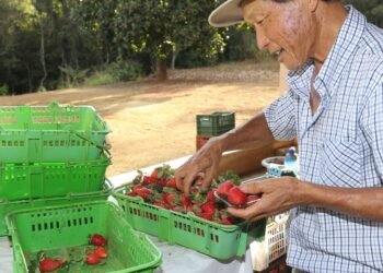 Finep Destina R$ 220 Milhões para Inovação na Agricultura Familiar e Aquicultura: Impulso Econômico e Político