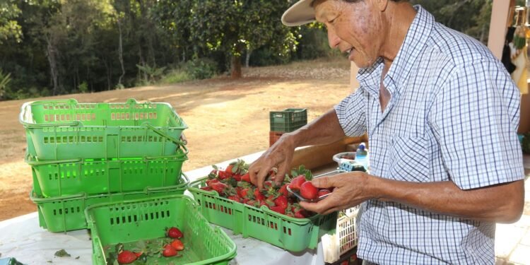 Finep Destina R$ 220 Milhões para Inovação na Agricultura Familiar e Aquicultura: Impulso Econômico e Político Finep Destina R$ 220 Milhões para Inovação na Agricultura Familiar e Aquicultura: Impulso Econômico e Político