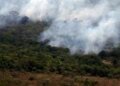 Emissões Globais por Incêndios Atingem Mínimo em 24 Anos, Mas El Niño Acende Alerta