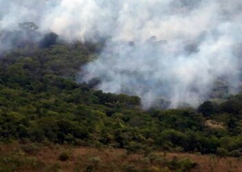 Emissões Globais por Incêndios Atingem Mínimo em 24 Anos, Mas El Niño Acende Alerta