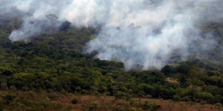 Emissões Globais por Incêndios Atingem Mínimo em 24 Anos, Mas El Niño Acende Alerta Emissões Globais por Incêndios Atingem Mínimo em 24 Anos, Mas El Niño Acende Alerta