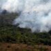 Emissões Globais por Incêndios Atingem Mínimo em 24 Anos, Mas El Niño Acende Alerta