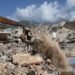 Terremotos na Venezuela: Balanço de Mortos Atinge 2.595, Desaparecidos Ultrapassam 50 Mil