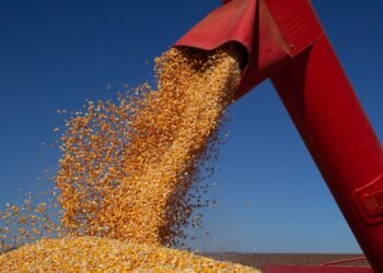 IBGE Projeta Safra Agrícola de 347,4 Milhões de Toneladas para 2026 IBGE Projeta Safra Agrícola de 347,4 Milhões de Toneladas para 2026