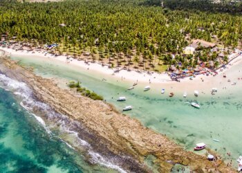 Estudo Revela Impacto da Poluição Sonora no Comportamento de Peixes Recifais