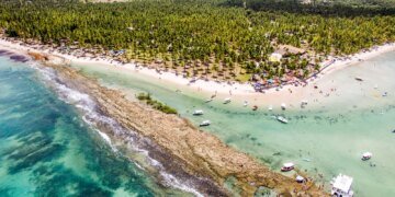 Estudo Revela Impacto da Poluição Sonora no Comportamento de Peixes Recifais Estudo Revela Impacto da Poluição Sonora no Comportamento de Peixes Recifais