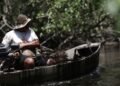 INSS: R$ 874 Milhões em Seguro-Defeso Beneficiam 149,5 Mil Pescadores Artesanais INSS: R$ 874 Milhões em Seguro-Defeso Beneficiam 149,5 Mil Pescadores Artesanais