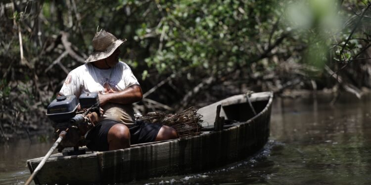 INSS: R$ 874 Milhões em Seguro-Defeso Beneficiam 149,5 Mil Pescadores Artesanais