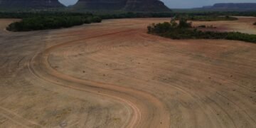 Estudo Adverte: Fim da Moratória da Soja Ameaça 1,4 Milhão de Hectares na Amazônia e Gera Alerta Climático
