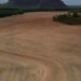 Estudo Adverte: Fim da Moratória da Soja Ameaça 1,4 Milhão de Hectares na Amazônia e Gera Alerta Climático